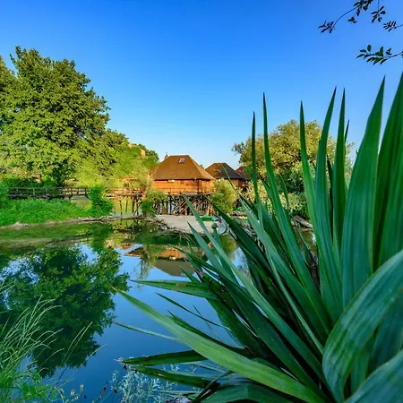 House On Piles, River 'apartman Una' Holiday home Bosanska Krupa